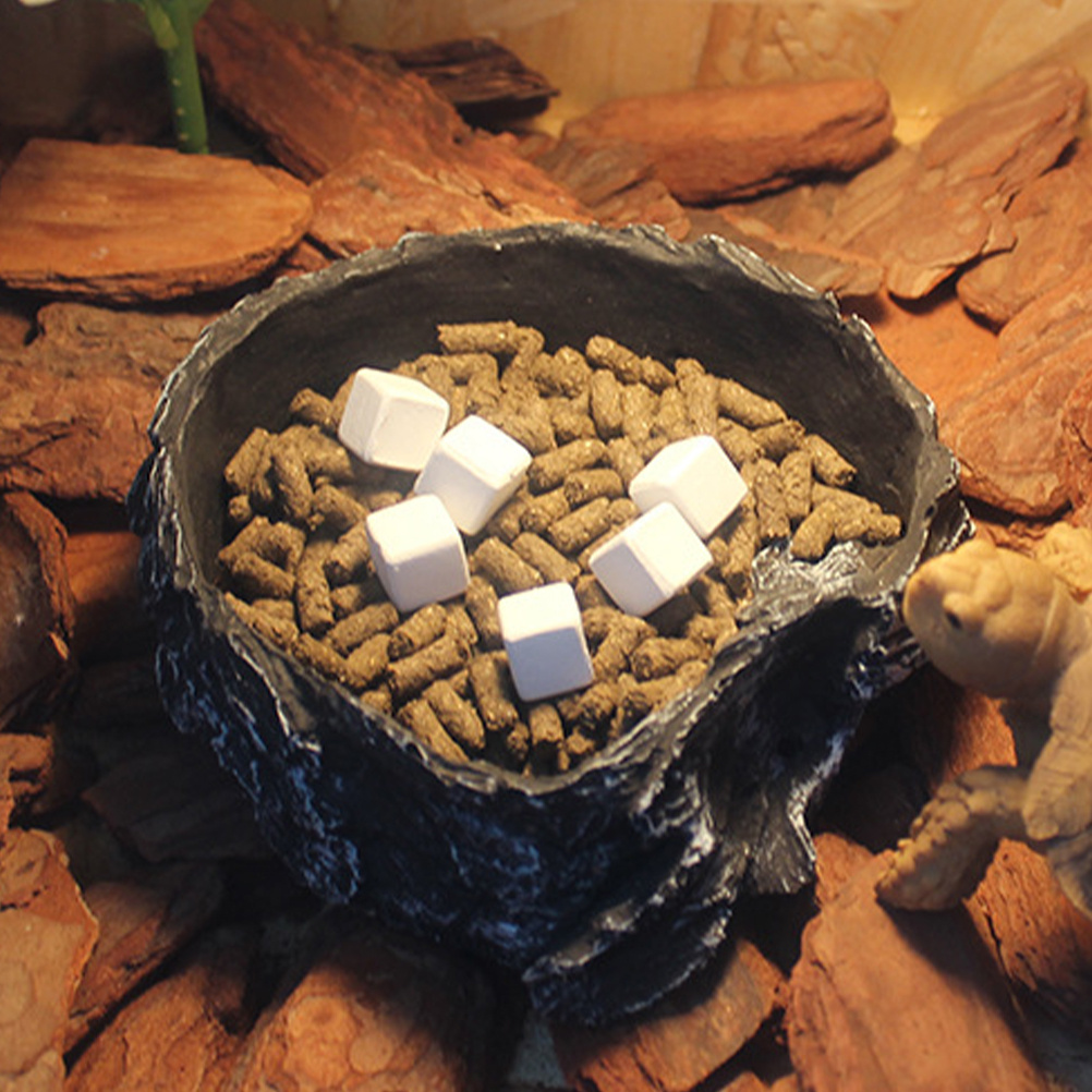 Calcium Powder Reptile - 6Pcs Tortoise Tank Calcium Cubes Reptile