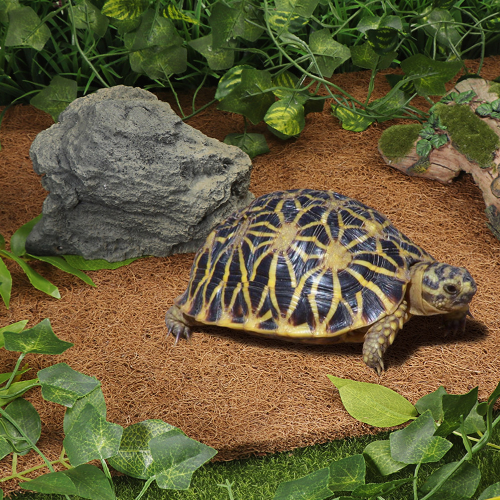 Reptile Substrate Carpet Natur - đánh giá và giá Substrate Coconut Fiber