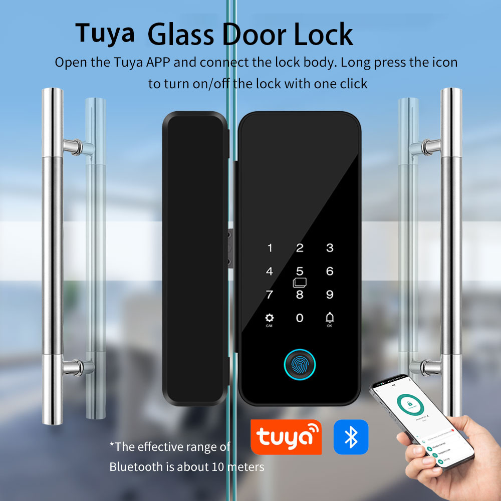 B16 Tuya APP Bluetooth Glass D - đánh giá và giá Glass Door Hinge