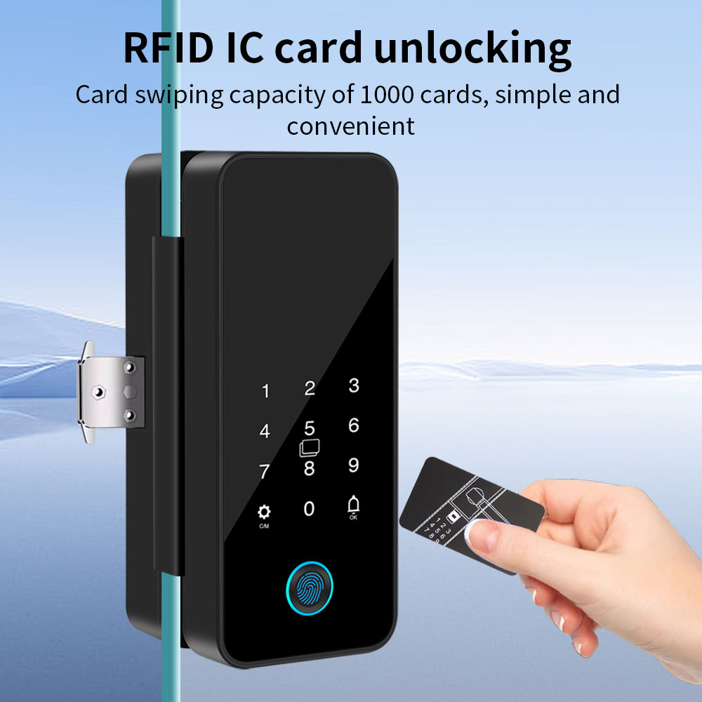 B16 Tuya APP Bluetooth Glass D - đánh giá và giá Glass Door Hinge