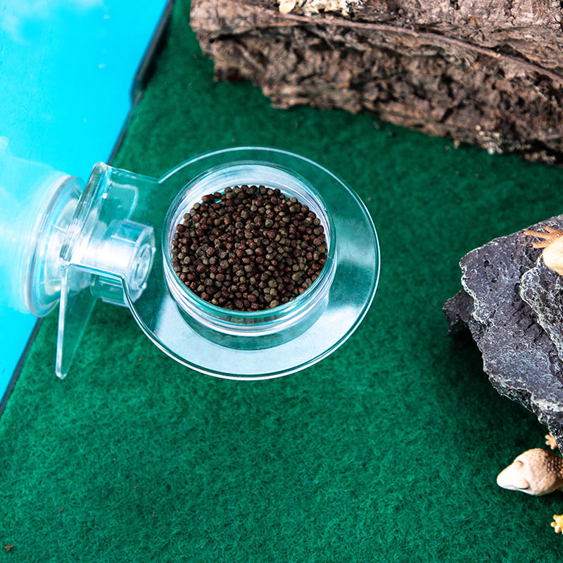 Acrylic Crawling Pet Feeding W - đánh giá và giá Water Dish Reptile
