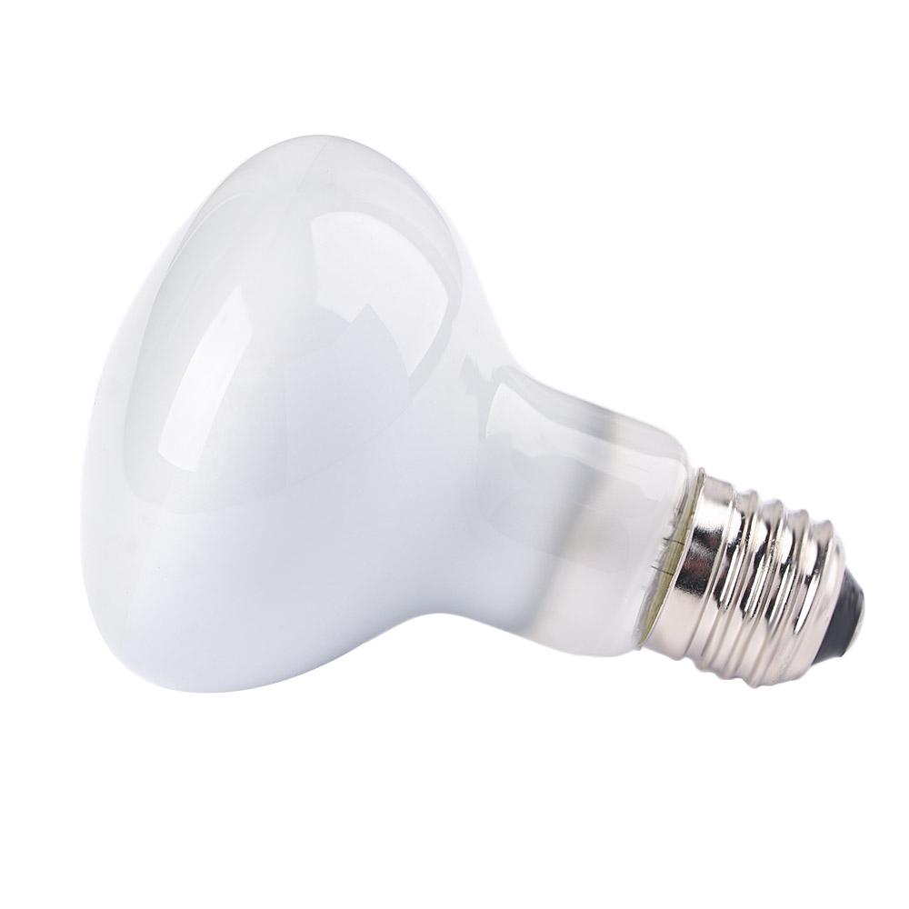Lizard Temperature Controller  - đánh giá và giá Basking Bulb Halogen