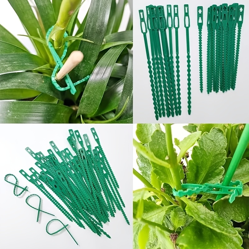 100PCS reusable adjustable pla - đánh giá và giá Vine Climbing Plastic