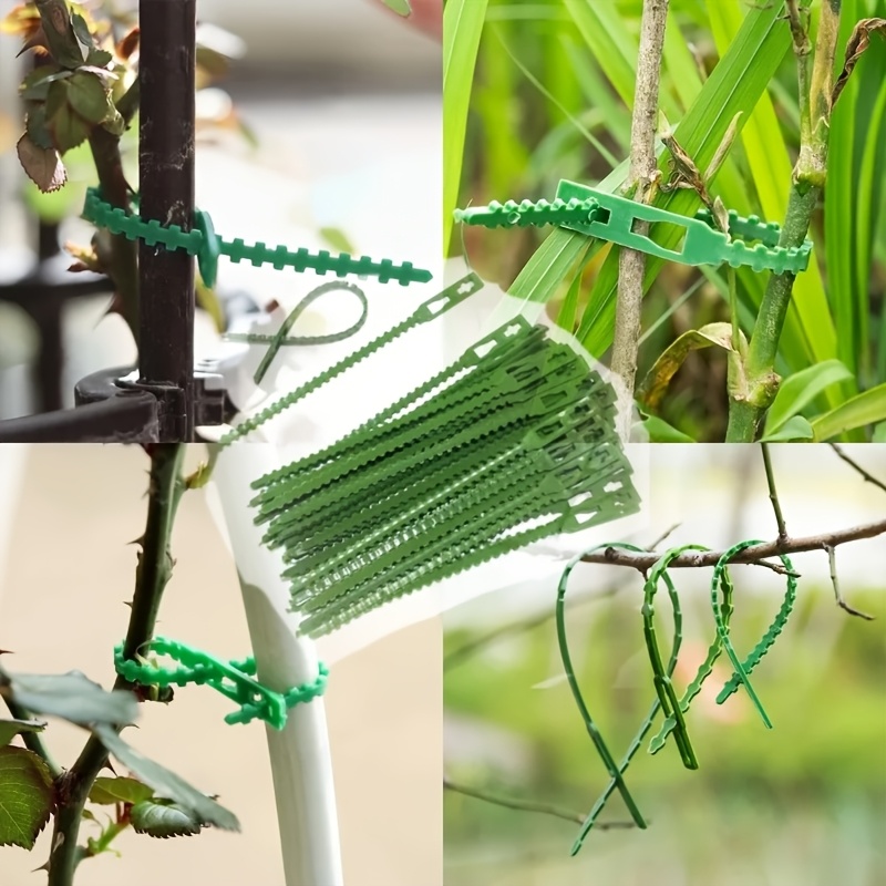 100PCS reusable adjustable pla - đánh giá và giá Vine Climbing Plastic