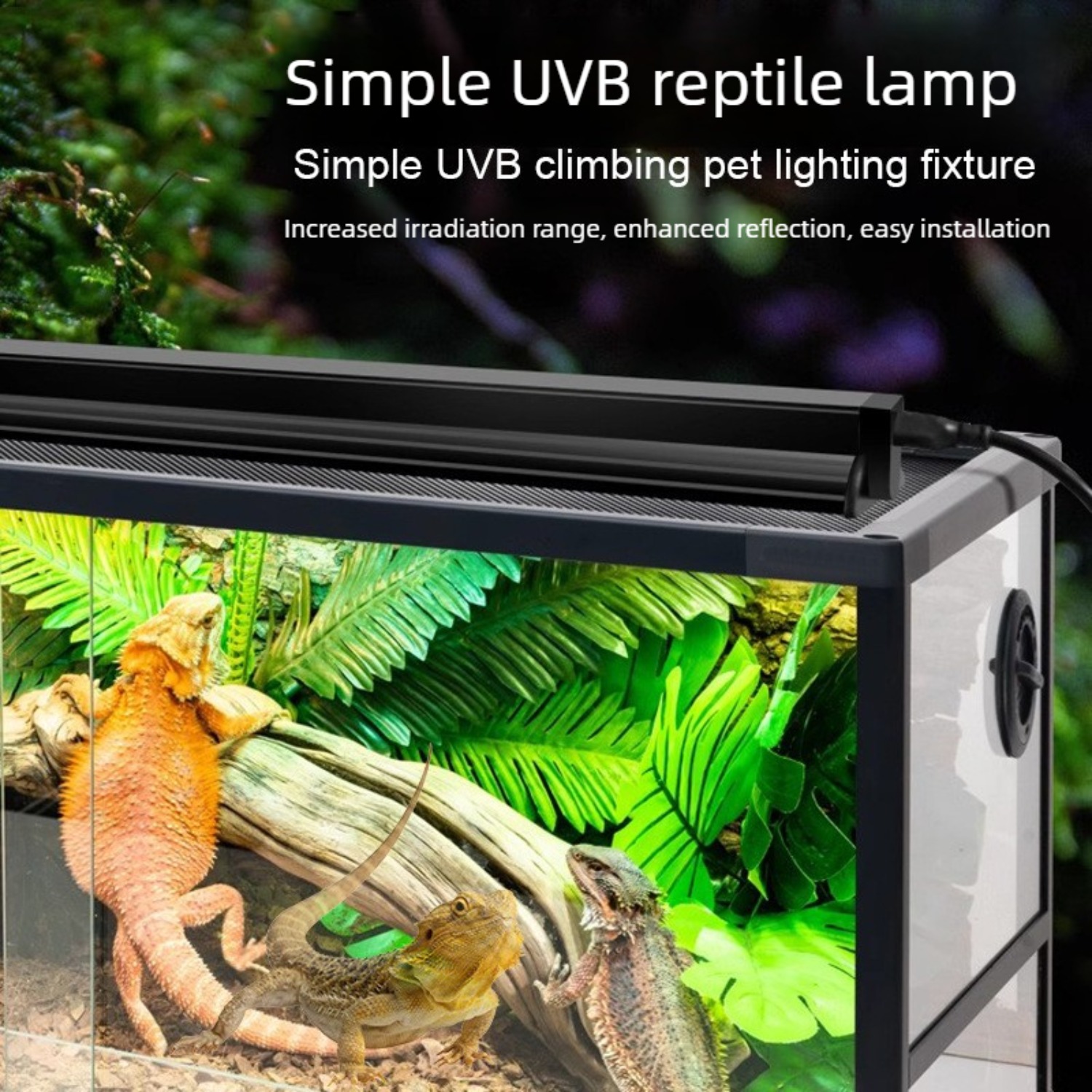 Reptile UVB Lamp Combo Kit UVA - đánh giá và giá Calcium Powder Reptile