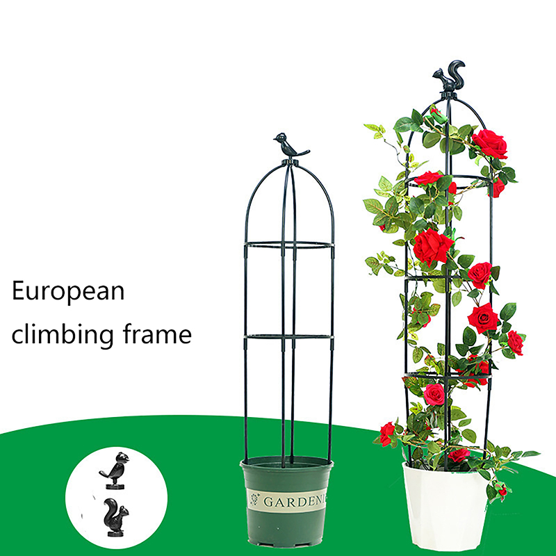 New DIY Flower Vine Climbing P - đánh giá và giá Vine Climbing Plastic
