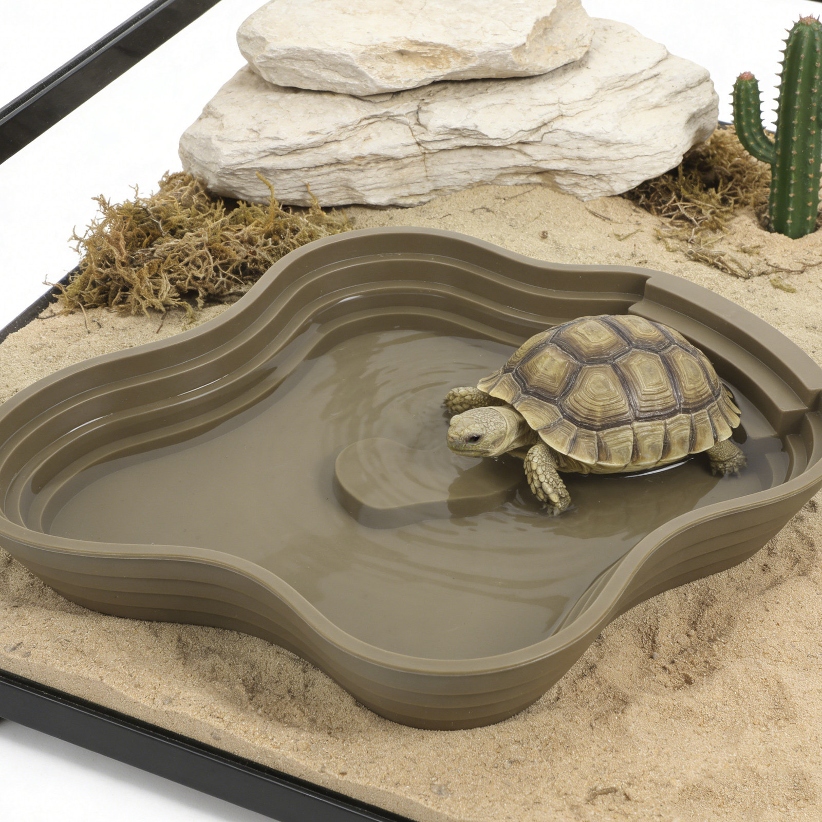 Large Turtle Reptile Bathing P - đánh giá và giá Water Dish Reptile