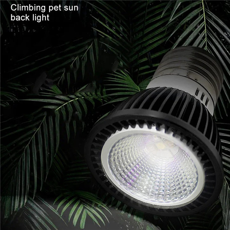A03F-5X 110V Reptile UVB Light - đánh giá và giá Calcium Powder Reptile