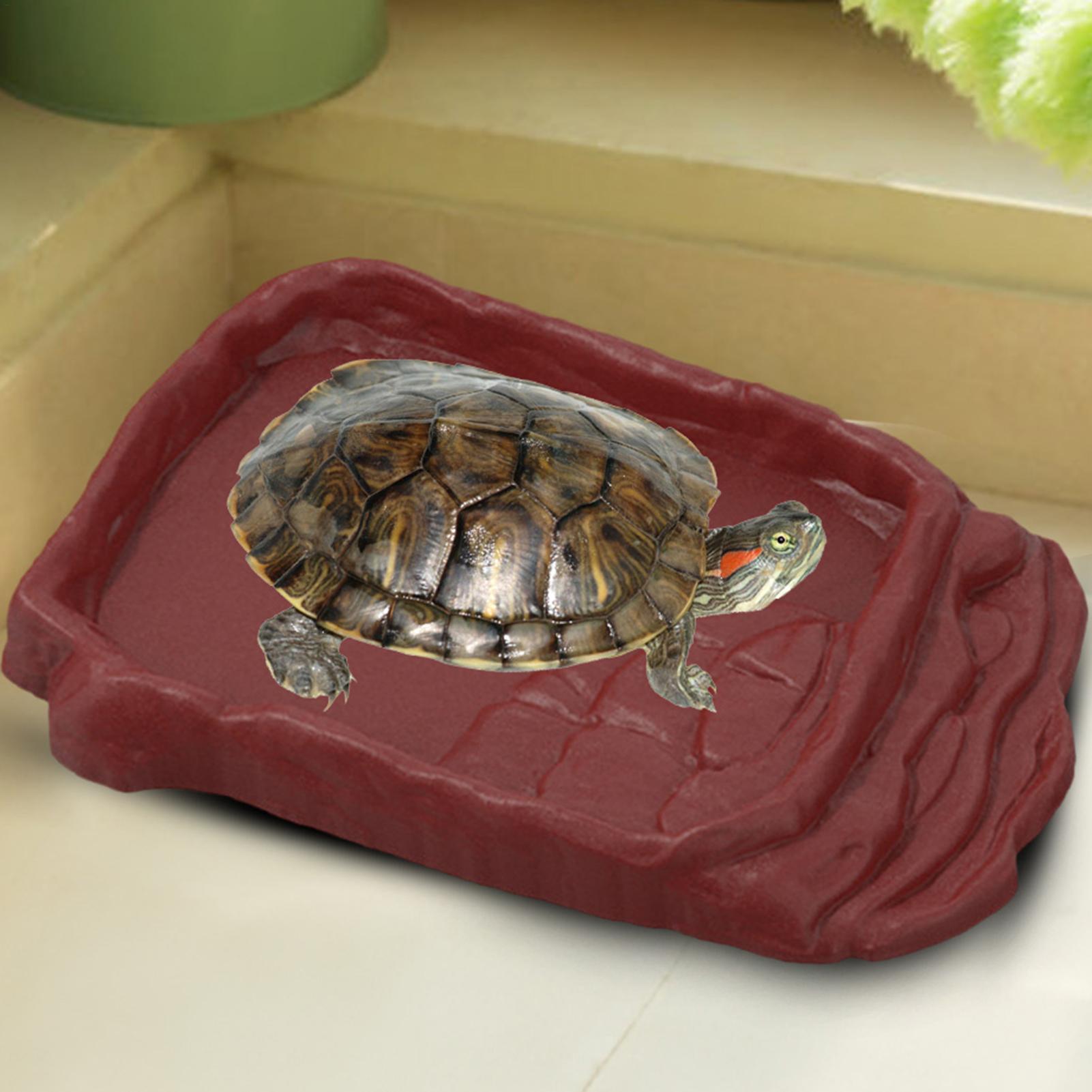 Turtle Water Dish With Anti-Sl - đánh giá và giá Water Dish Reptile