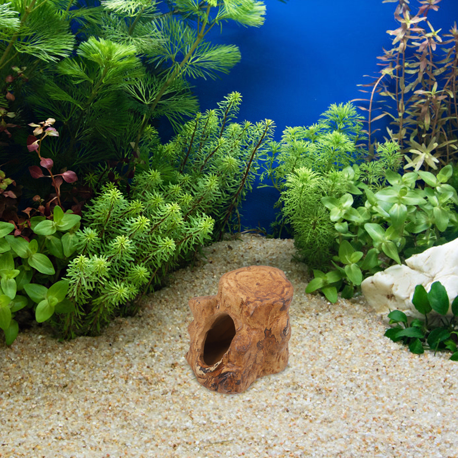 Pleco Caves for Aquarium Fish  - đánh giá và giá Hide Cave Ceramic