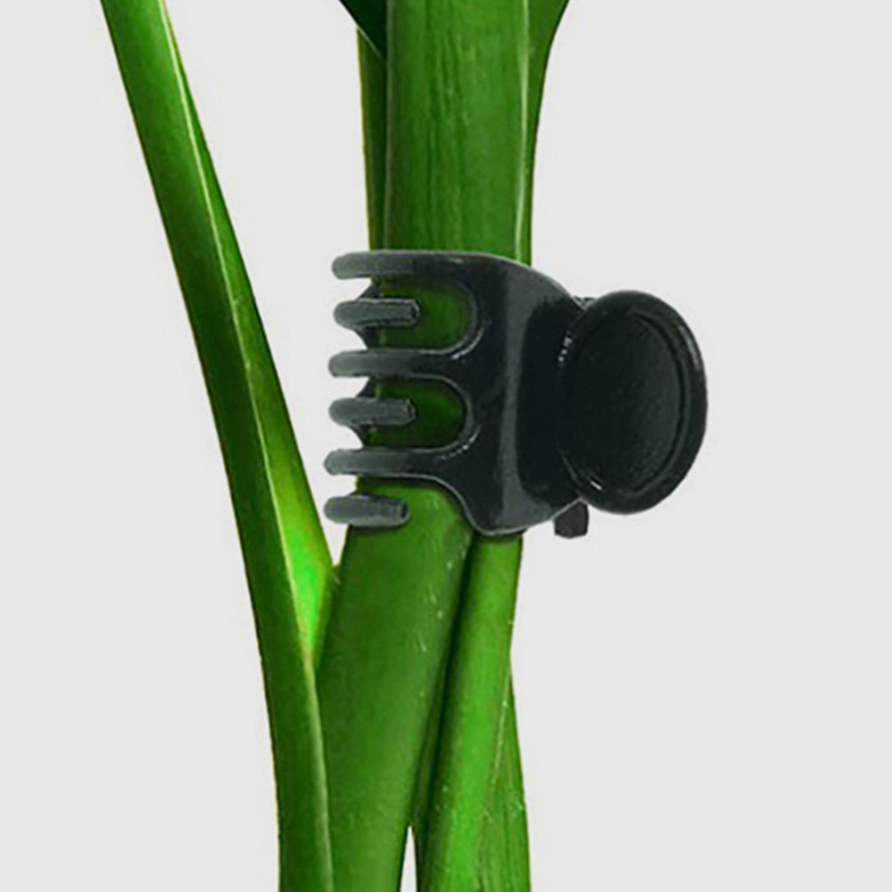 60Pcs Plant Support Clamps Pla - đánh giá và giá Vine Climbing Plastic