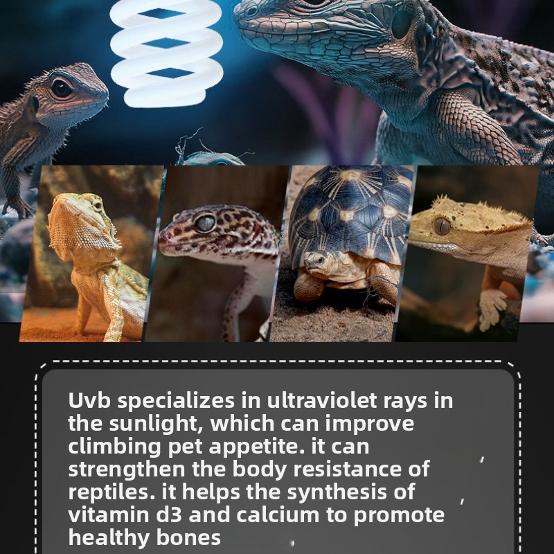 NOMOY 26W UVB Reptile Light Ca - đánh giá và giá Vitamin D3 Reptile
