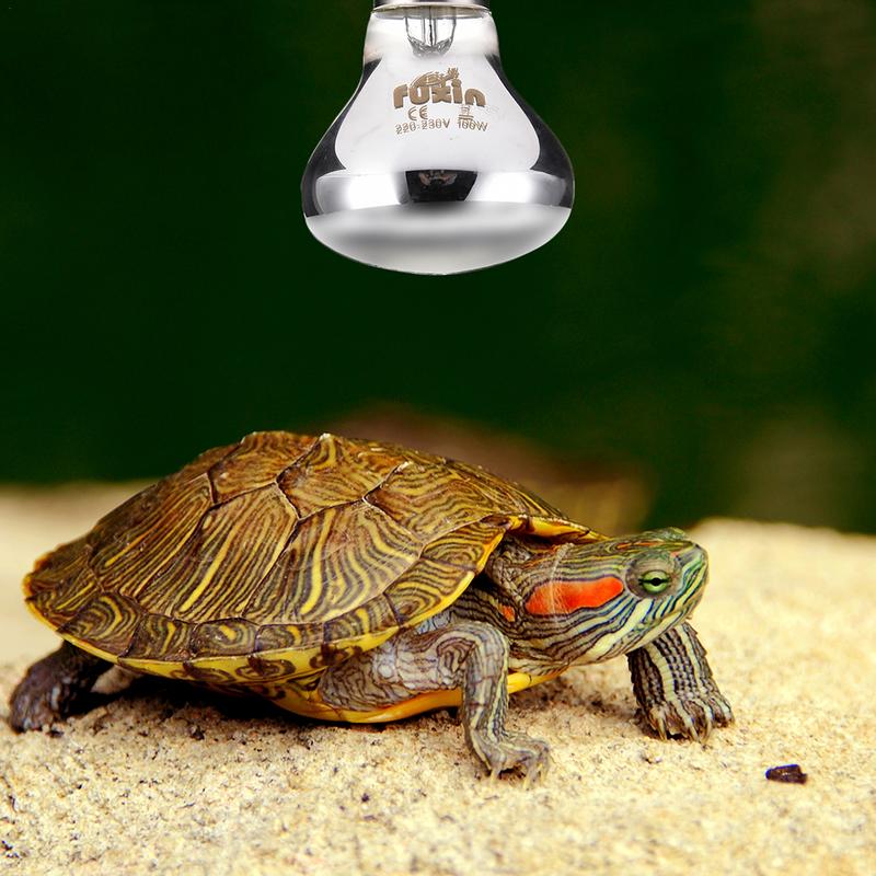 Pet Heating Lamp E27 Day Night - đánh giá và giá Ceramic Heat Emitter