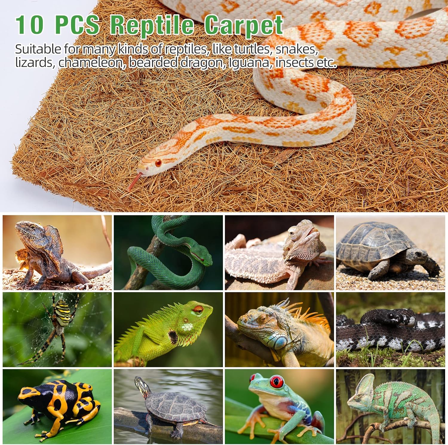 10 Pcs Reptile Carpet, 12x12 i - đánh giá và giá Substrate Coconut Fiber