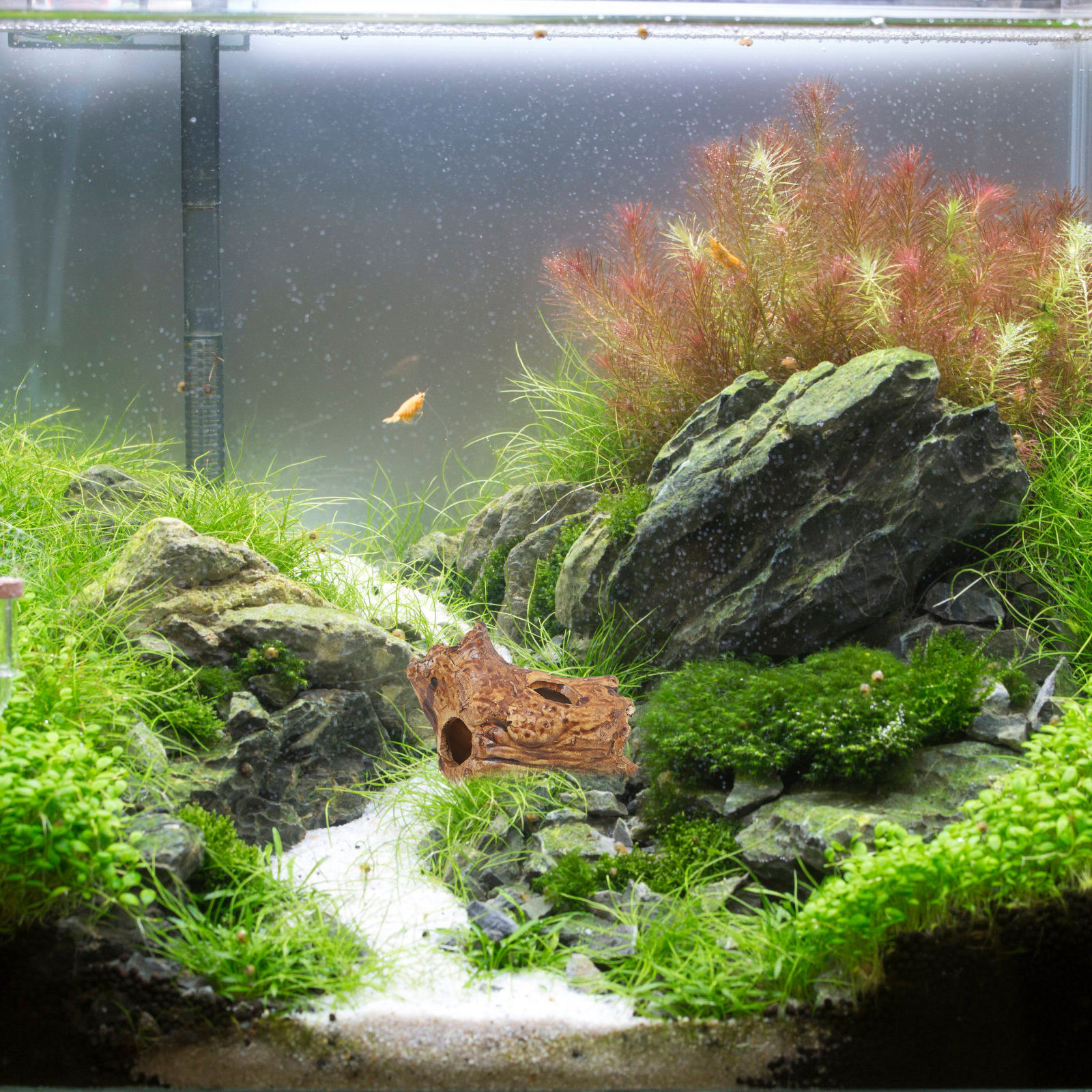 Premium Ceramic Aquarium Hides - đánh giá và giá Hide Cave Ceramic