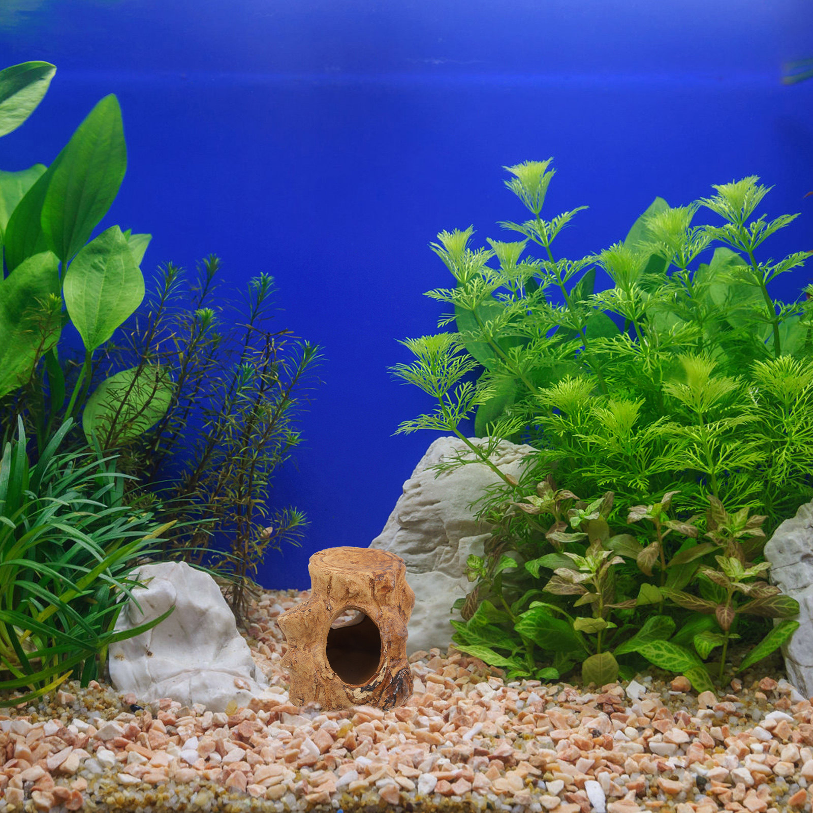 Pleco Caves Fish Tank Decorati - đánh giá và giá Hide Cave Ceramic