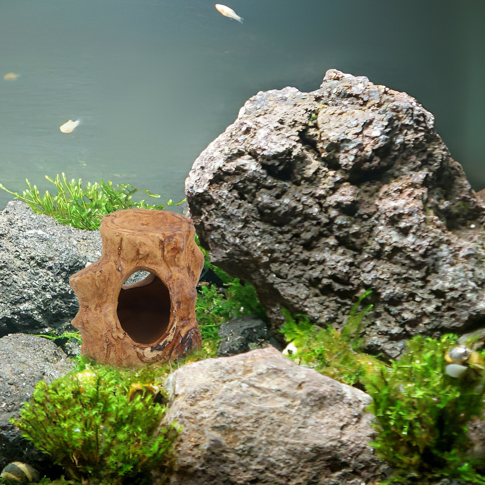 Pleco Caves Fish Tank Decorati - đánh giá và giá Hide Cave Ceramic