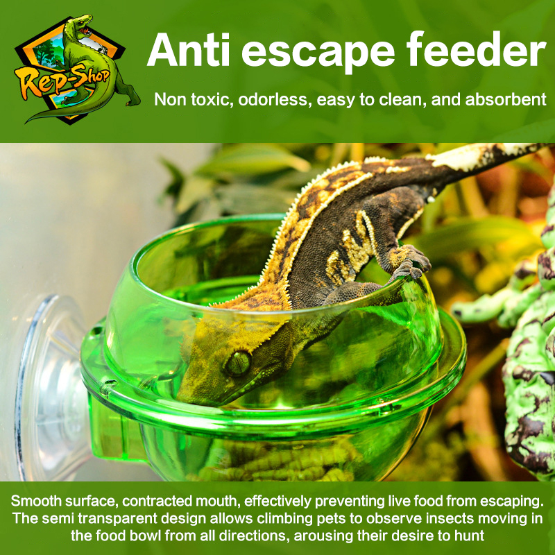 HOT! Arboreal Reptile Live Ant - đánh giá và giá Water Dish Reptile