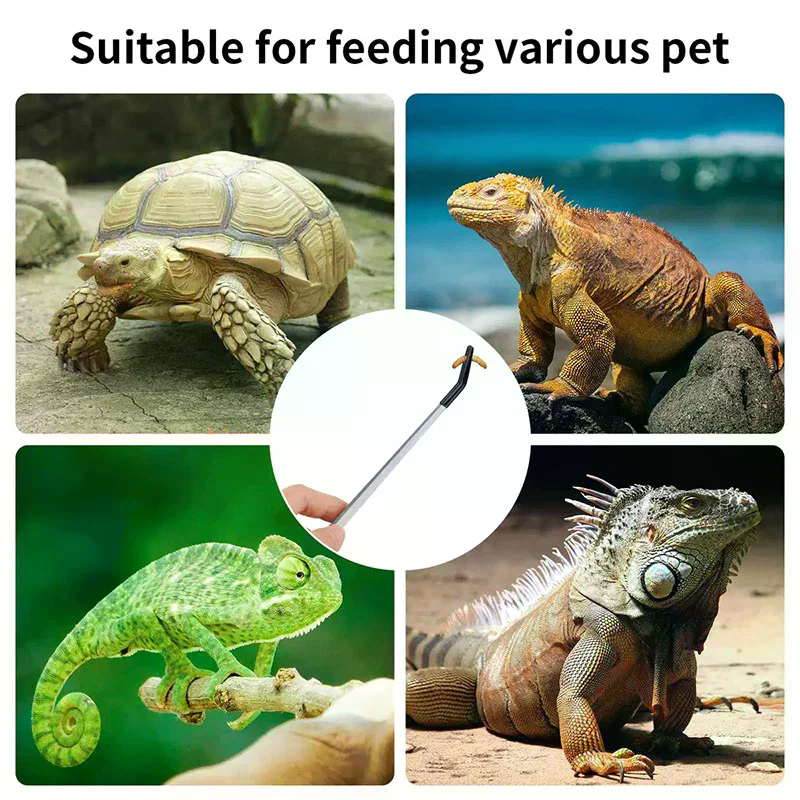 Straight and Curved Aquarium T - đánh giá và giá Feeding Tong Stainless
