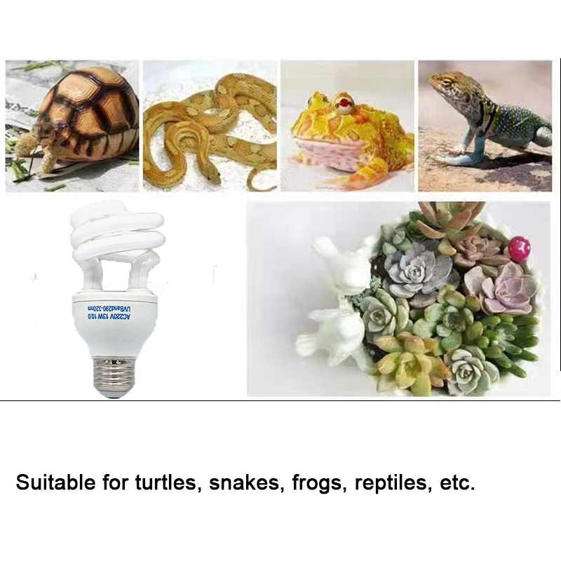 E27 13W/26W Reptile Uvb Lamp   - đánh giá và giá Calcium Powder Reptile
