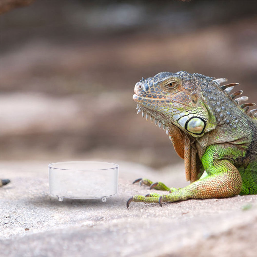 10Pcs Acrylic Reptile Food Dis - đánh giá và giá Water Dish Reptile