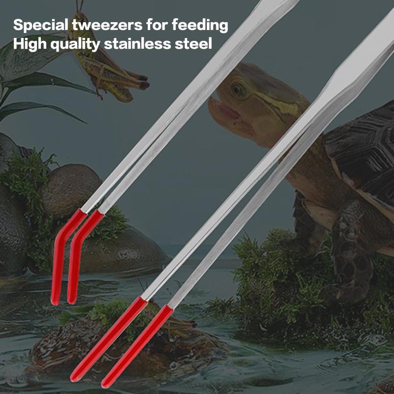 Fish Tank Cleaning Tools Snake - đánh giá và giá Feeding Tong Stainless