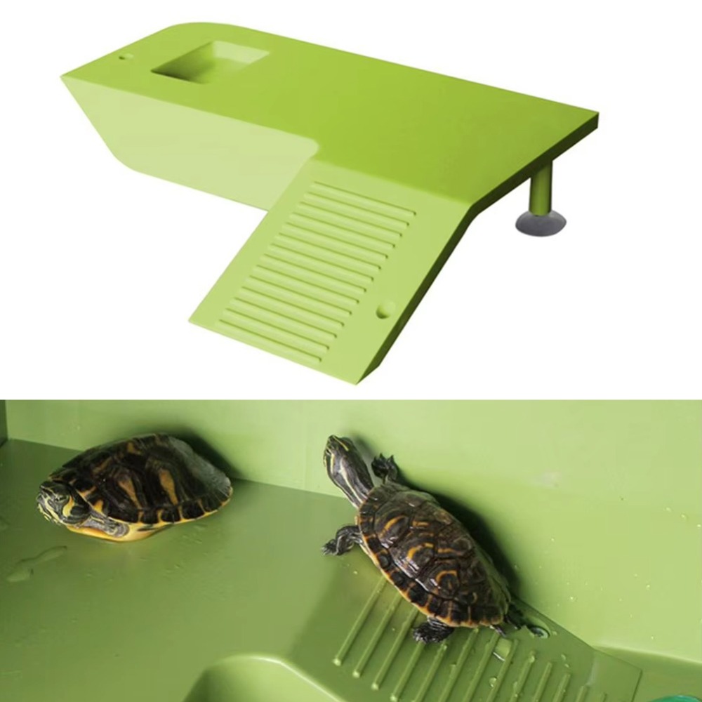 Water Land Slope Box Feeding C - đánh giá và giá Water Dish Reptile