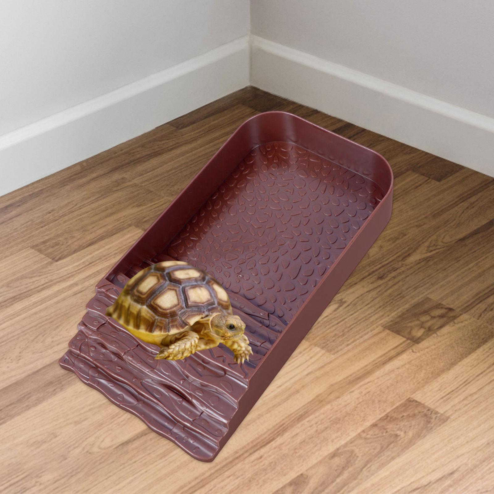 Reptile Water Bowl Accessories - đánh giá và giá Water Dish Reptile