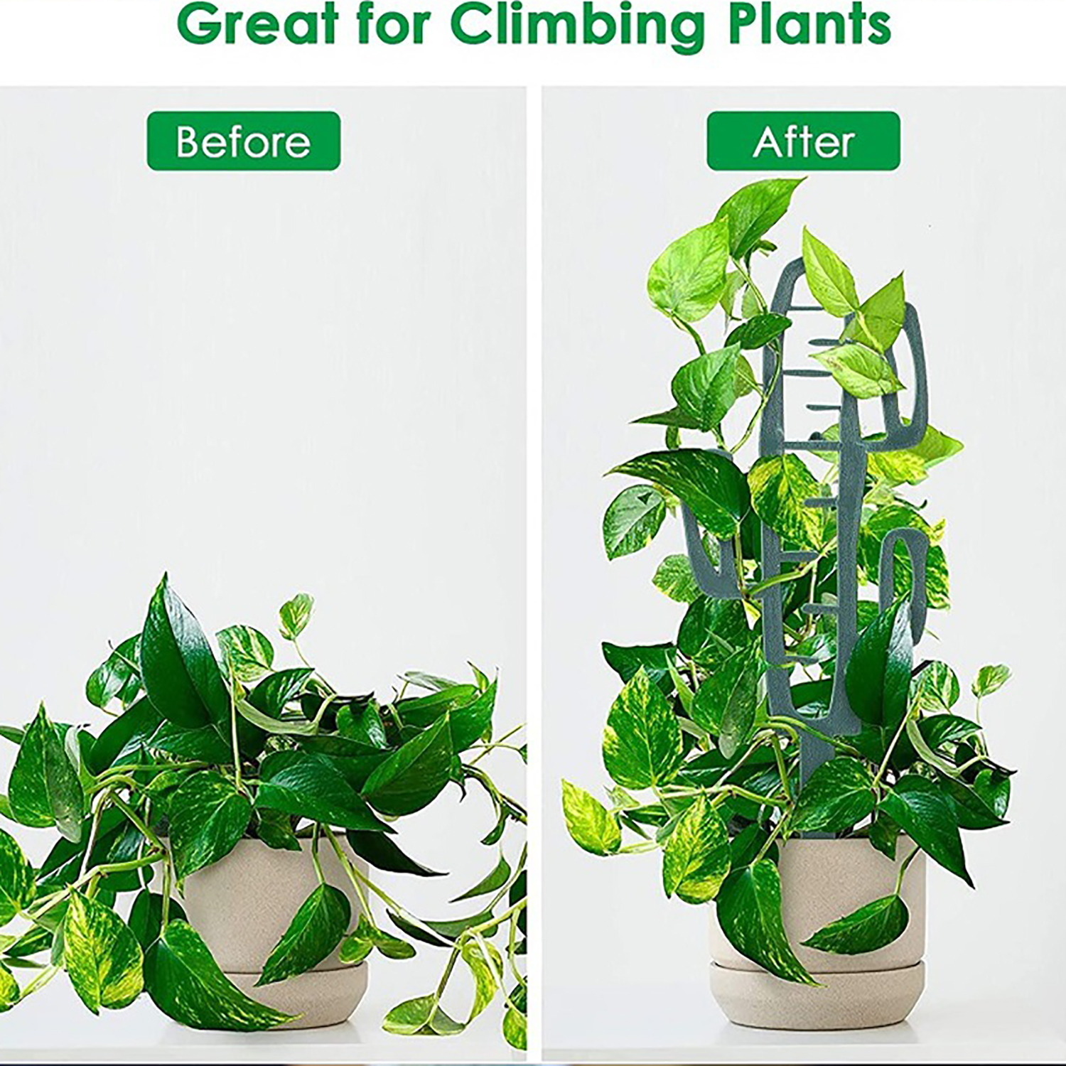 Plant Climbing Support Stand F - đánh giá và giá Vine Climbing Plastic