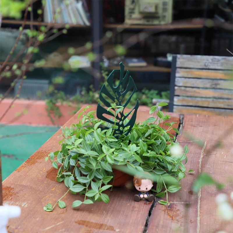Plant Climbing Support Stand F - đánh giá và giá Vine Climbing Plastic