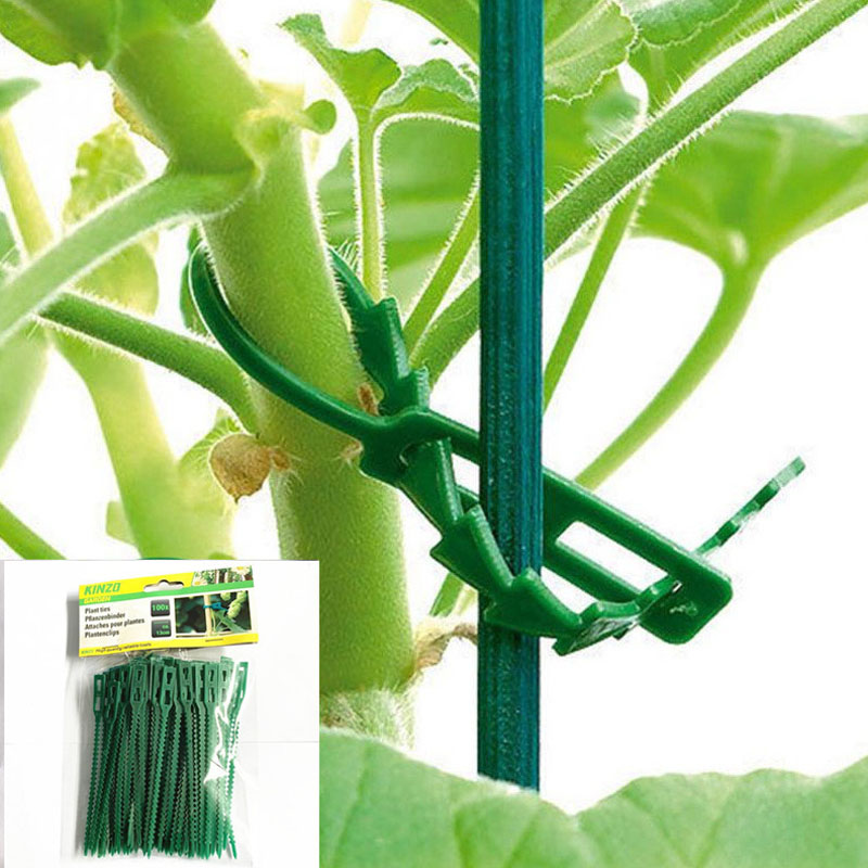 13cm Adjustable Plastic Plant  - đánh giá và giá Vine Climbing Plastic